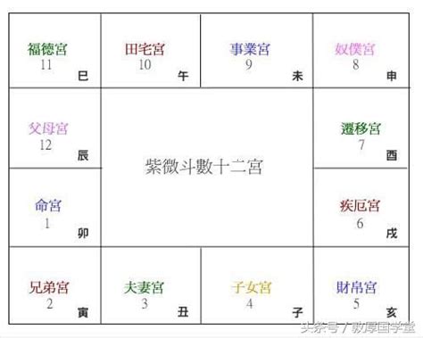 對拱|紫微斗數的基礎教程